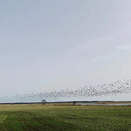Alte Fischerhuette Darss Prázdninový dům Wieck