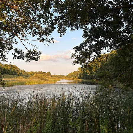 Alte Fischerhuette Darss *